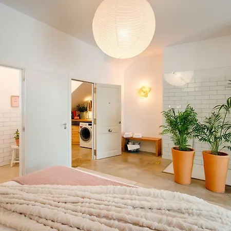 Loft Con Piscina Climatizada De Agua Salada Y Parking En El Centro De Figueres *